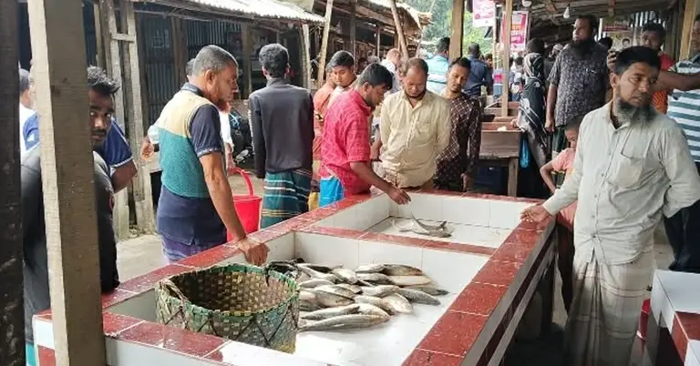 ভোলার মাছের বাজার